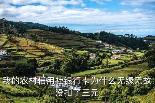 我的農(nóng)村信用社銀行卡為什么無(wú)緣無(wú)故沒(méi)扣了三元