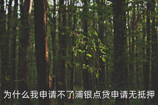 為什么我申請(qǐng)不了浦銀點(diǎn)貸申請(qǐng)無(wú)抵押