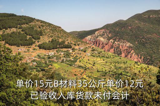 單價15元B材料35公斤單價12元已驗收入庫貨款未付會計