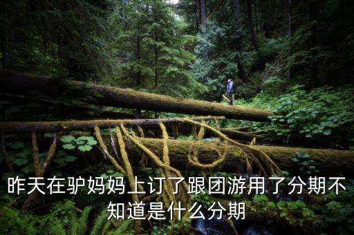 驢媽媽旅游網(wǎng)怎么申請分期，昨天在驢媽媽上訂了跟團游用了分期不知道是什么分期