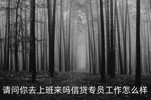 請問你去上班來嗎信貸專員工作怎么樣