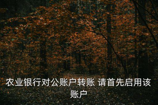 農(nóng)業(yè)銀行對公賬戶轉賬 請首先啟用該賬戶