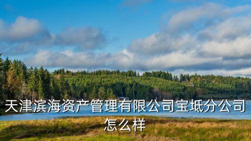 天津?yàn)I海資產(chǎn)管理有限公司寶坻分公司怎么樣