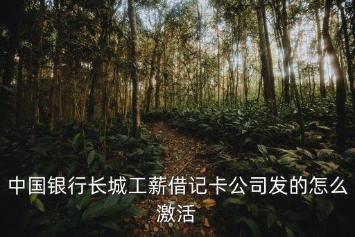 中國銀行長城工薪卡怎么激活，中國銀行長城工薪借記卡公司發(fā)的怎么激活