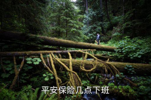 中國(guó)平安怎么工作時(shí)間，平安保險(xiǎn)上下班幾點(diǎn)