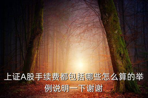 上證A股手續(xù)費(fèi)都包括哪些怎么算的舉例說(shuō)明一下謝謝