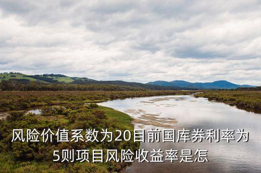 風(fēng)險價值系數(shù)為20目前國庫券利率為5則項目風(fēng)險收益率是怎