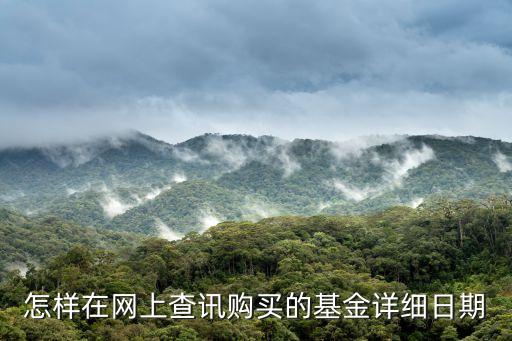 怎樣在網(wǎng)上查訊購買的基金詳細(xì)日期