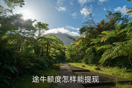 途牛額度怎樣能提現(xiàn)