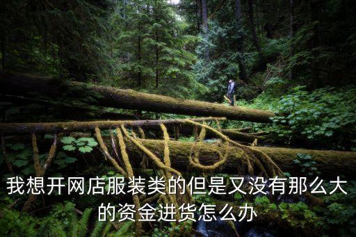 我想開網(wǎng)店服裝類的但是又沒有那么大的資金進(jìn)貨怎么辦