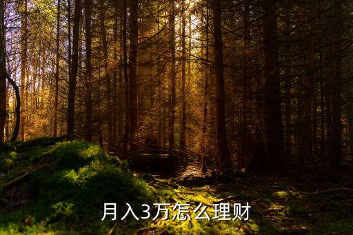 月薪3萬怎么投資理財，工資30000怎么理財