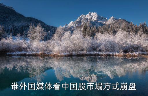 誰外國媒體看中國股市塌方式崩盤