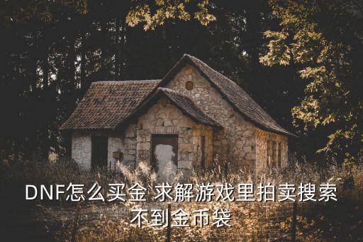 DNF怎么買金 求解游戲里拍賣搜索不到金幣袋