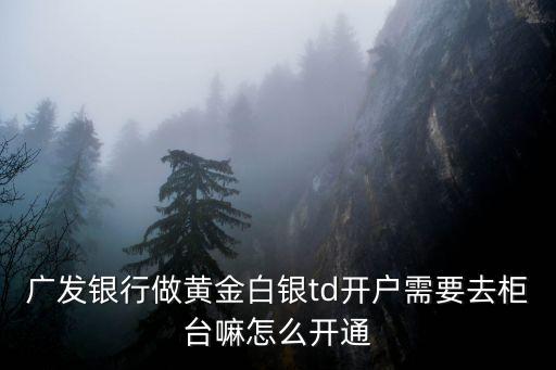 廣發(fā)銀行做黃金白銀td開戶需要去柜臺嘛怎么開通