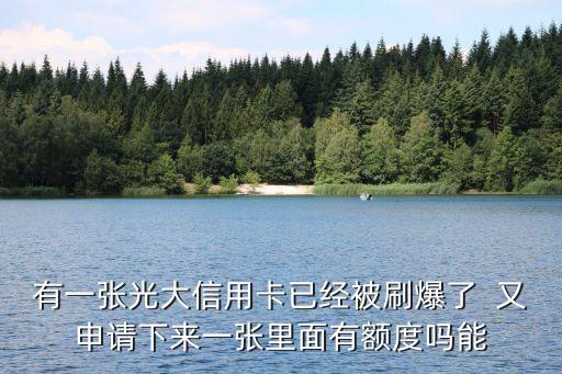 光大刷爆了怎么辦，光大信用卡刷爆了只還款了一半還能再刷嗎