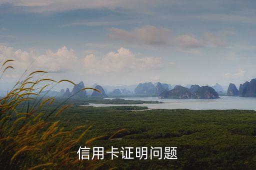 銀行方面導致的信用卡證明怎么寫，信用卡失落證明怎么寫
