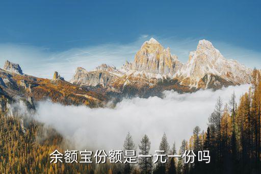 余額寶份額是一元一份嗎