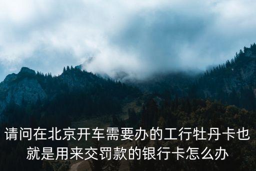 請問在北京開車需要辦的工行牡丹卡也就是用來交罰款的銀行卡怎么辦