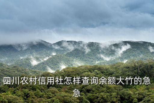 四川農(nóng)信社怎么查余額查詢，四川省農(nóng)村商業(yè)銀行余額查詢