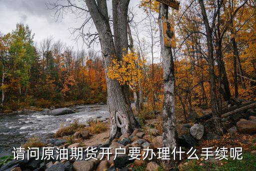 請問原油期貨開戶要辦理什么手續(xù)呢