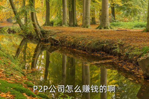 p2p投資怎么賺錢嗎，為何P2P收益那么高是怎么個(gè)盈利模式呀