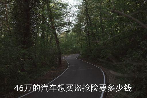 46萬的汽車想買盜搶險要多少錢