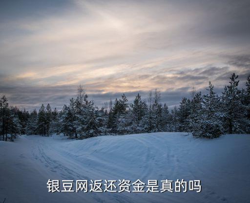 銀豆網(wǎng)返還資金是真的嗎