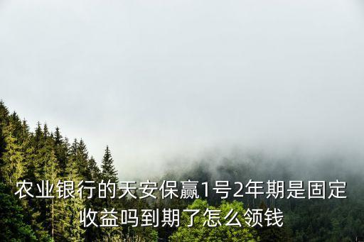 農(nóng)業(yè)銀行的天安保贏1號2年期是固定收益嗎到期了怎么領(lǐng)錢