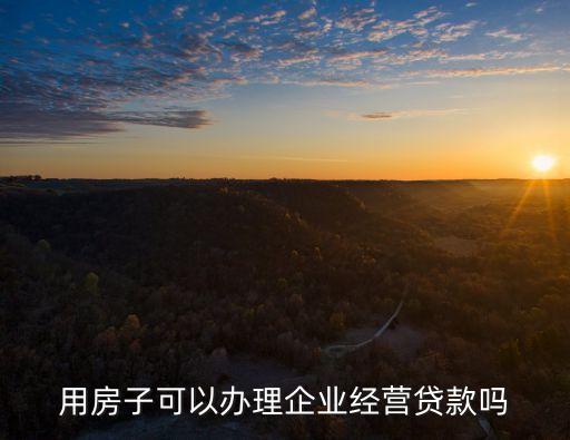 用房子可以辦理企業(yè)經(jīng)營(yíng)貸款嗎