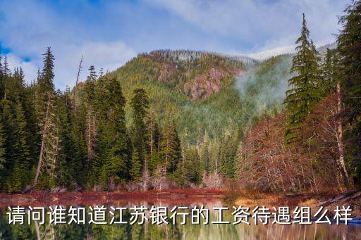 請(qǐng)問誰知道江蘇銀行的工資待遇組么樣