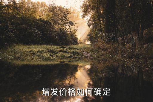 增發(fā)價格如何確定