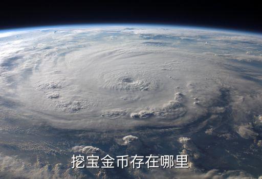 挖財(cái)寶金幣怎么查詢，挖寶金幣存在哪里