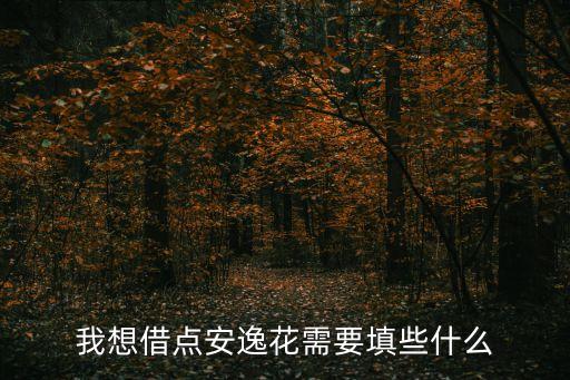 安逸花借款怎么申請(qǐng)，我想借點(diǎn)安逸花需要填些什么