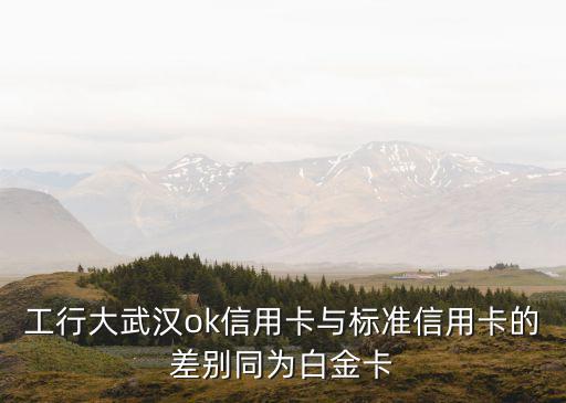 大武漢ok信用卡怎么樣，工商大武漢OK卡普卡3000額度值得養(yǎng)嗎