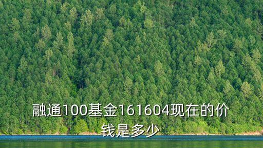 融通四季添利債券161614怎么樣，融通債券怎么樣