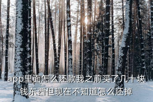 app里面怎么還款我之前買了幾十塊錢東西但現(xiàn)在不知道怎么還掉
