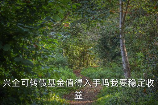 興全可轉(zhuǎn)債基金值得入手嗎我要穩(wěn)定收益