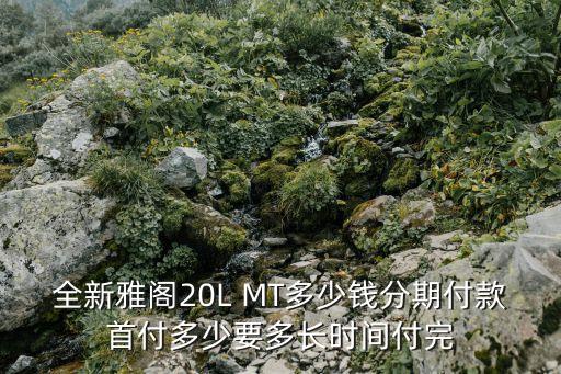 買輛本田雅閣按揭怎么算，河北石家莊買20八代雅閣分期付款首付多少月供多少