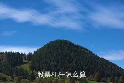 股票杠桿怎么算