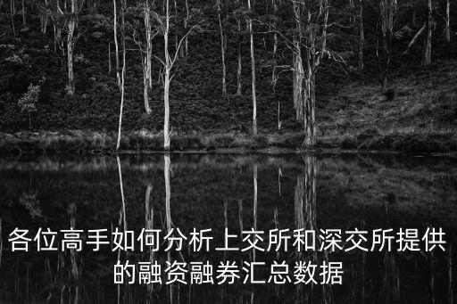 各位高手如何分析上交所和深交所提供的融資融券匯總數(shù)據(jù)