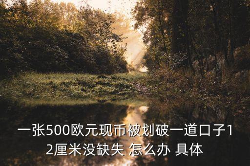歐元破損怎么兌換，一張500歐元現(xiàn)幣被劃破一道口子12厘米沒缺失 怎么辦 具體