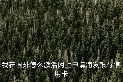 在國外怎么激活國內(nèi)的信用卡，請(qǐng)教人在國外怎么申請(qǐng)國內(nèi)卡啊
