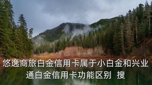 興業(yè)悠逸怎么樣，悠逸商旅白金信用卡屬于小白金和興業(yè)通白金信用卡功能區(qū)別  搜