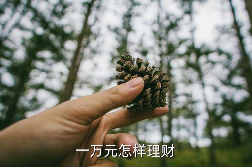 一萬元怎樣理財