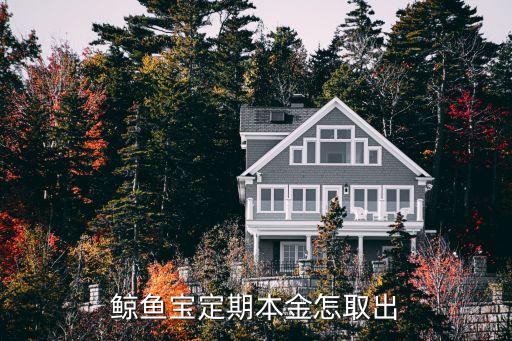 鯨魚寶定期本金怎取出