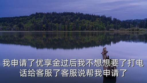 我申請(qǐng)了優(yōu)享金過(guò)后我不想想要了打電話給客服了客服說(shuō)幫我申請(qǐng)了