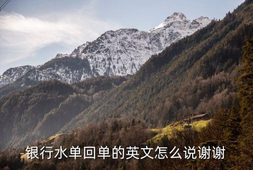 銀行打印流水英文怎么說，銀行水單回單的英文怎么說謝謝