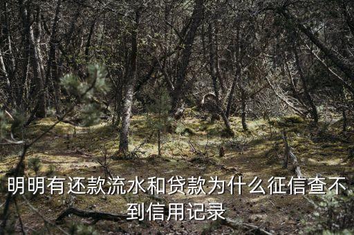 我有車怎么征信記錄沒，明明有還款流水和貸款為什么征信查不到信用記錄