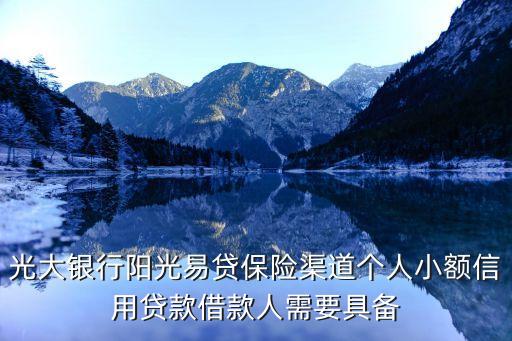 光大銀行陽光易貸保險(xiǎn)渠道個(gè)人小額信用貸款借款人需要具備