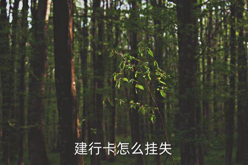 建行卡怎么掛失